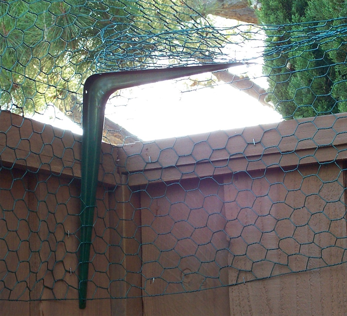 Chicken Wire Fencing Example