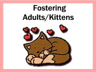 Fostering